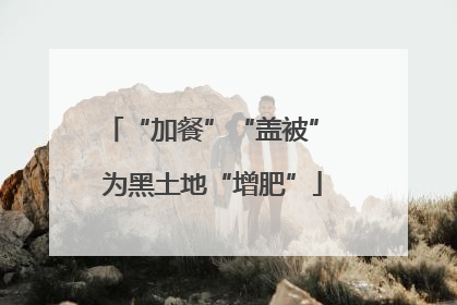 “加餐”“盖被” 为黑土地“增肥”